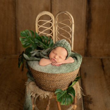 Gallery photo 10