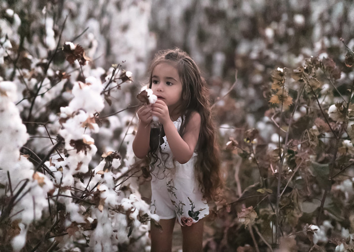Collection 66 photo by Reut Avivi