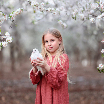 Gallery photo 10